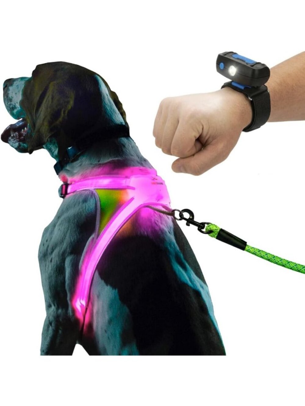 Light Up Reflective Dog Harness & Wrist Light for Night Safety, Large Size